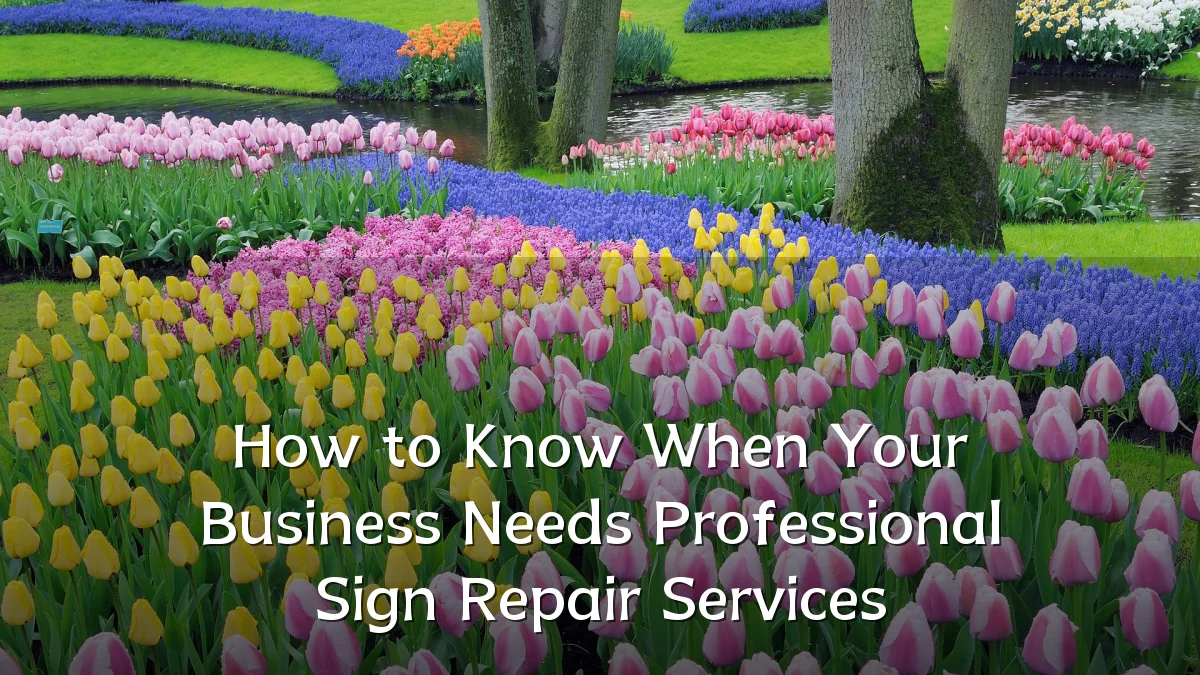 How to Know When Your Business Needs Professional Sign Repair Services