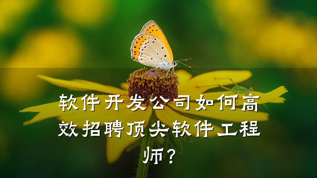 软件开发公司如何高效招聘顶尖软件工程师?