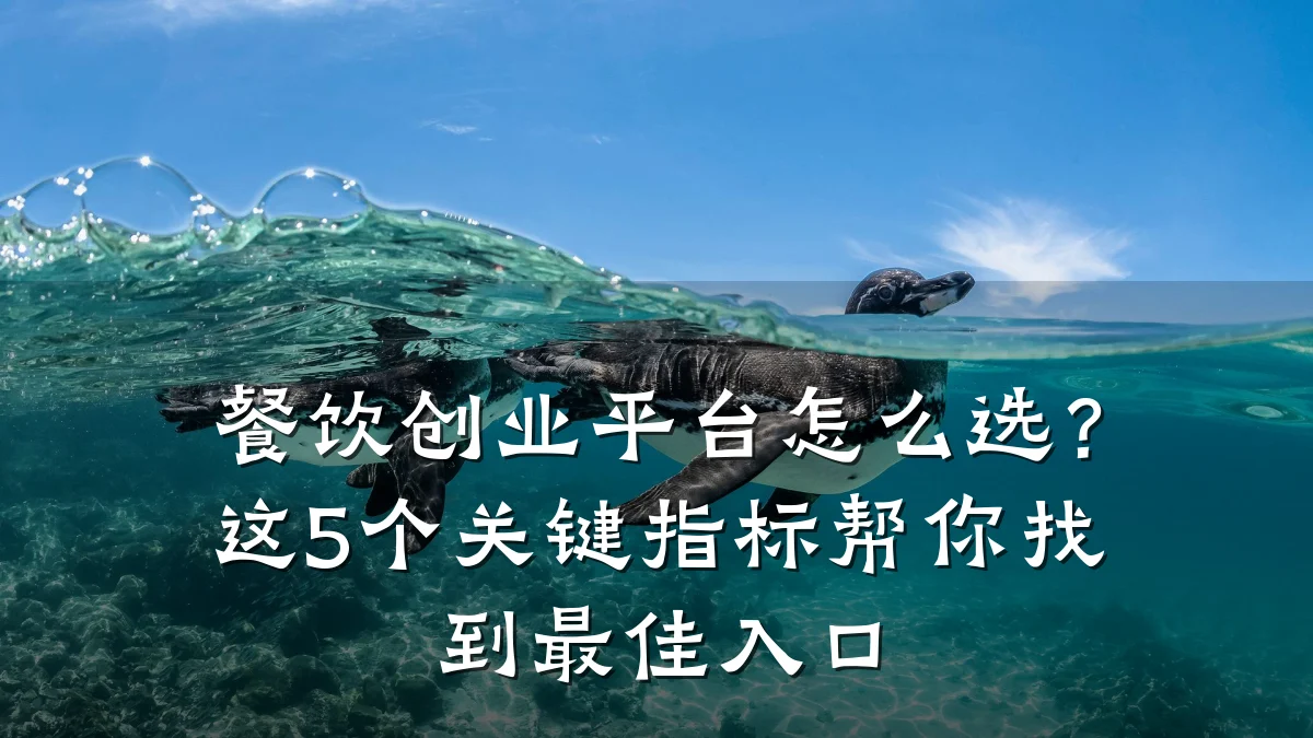 餐饮创业平台怎么选?这5个关键指标帮你找到最佳入口