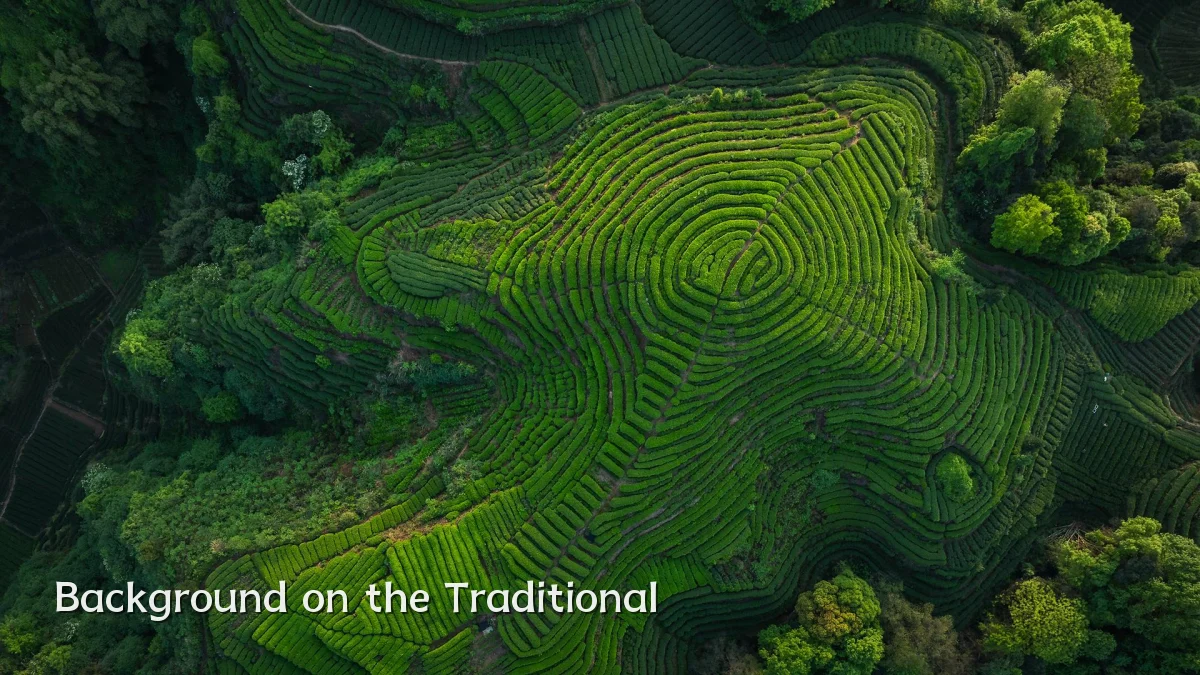 Background on the Traditional