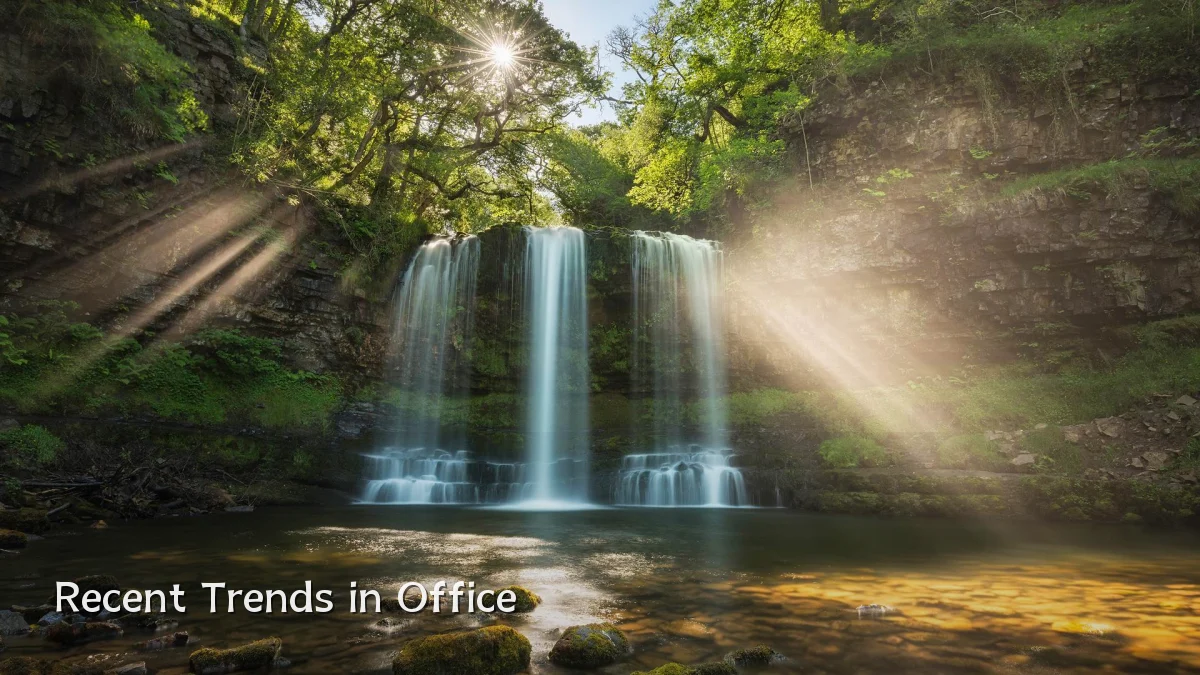 Recent Trends in Office