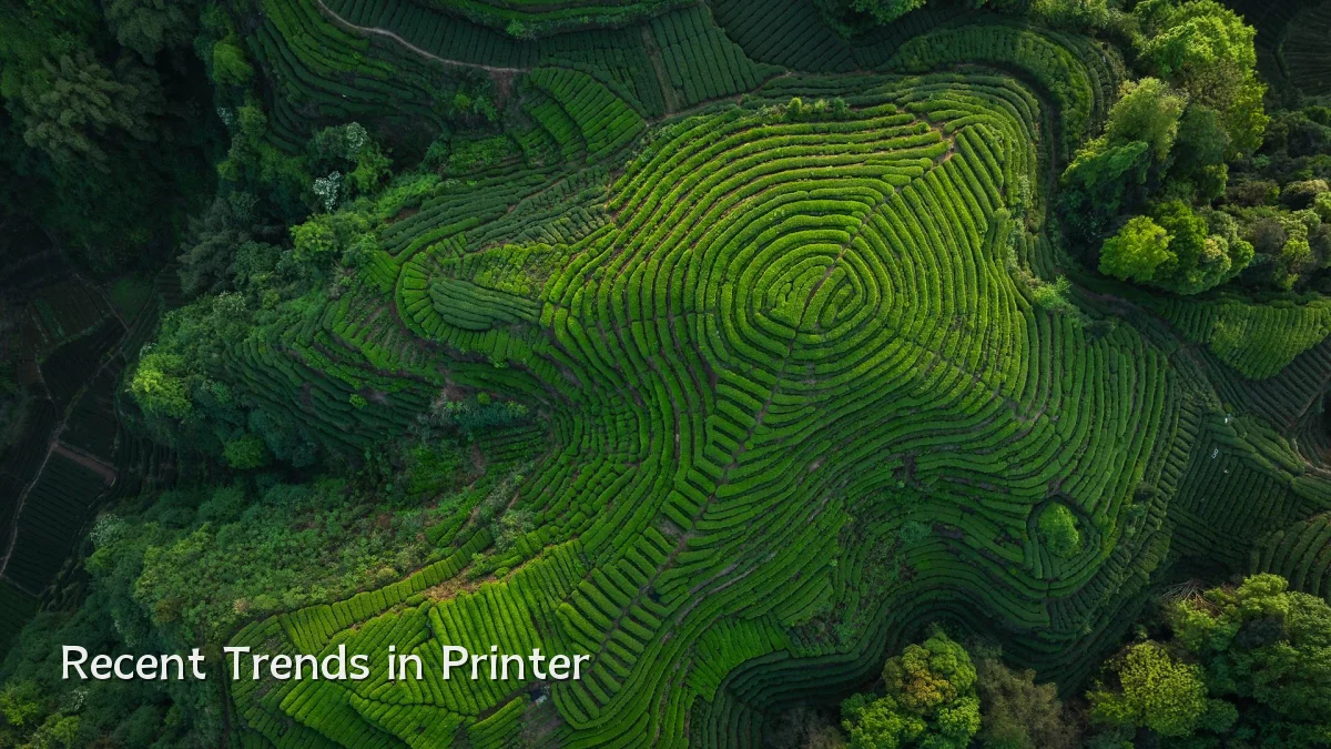 Recent Trends in Printer